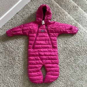 Patagonia Down Bunting